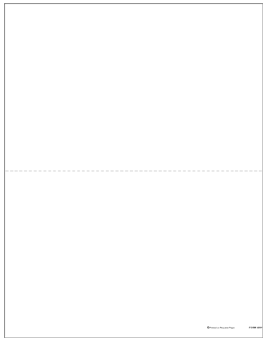 W2 2UP Blank Forms