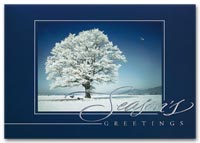Winter and Warm Weather Seasonal Holiday Card, Holiday Cards Striking Solitude