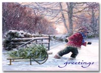 Winter and Warm Weather Seasonal Holiday Card, Holiday Cards Bringing Home the Tree