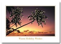Winter and Warm Weather Seasonal Holiday Card, Warm Weather Holiday Cards Tropical Greetings