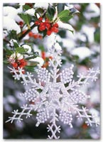Traditional Holiday Cards, Holiday Cards Intricate Snowflake