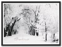 Personalized Holiday Gift Cards, Holiday Cards Serene with Die-Cut Card Holder