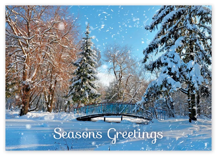 D2657 Winter Park Bridge Holiday Greeting Card