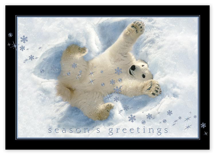 M1312 Playful Snow Angel Holiday Cards