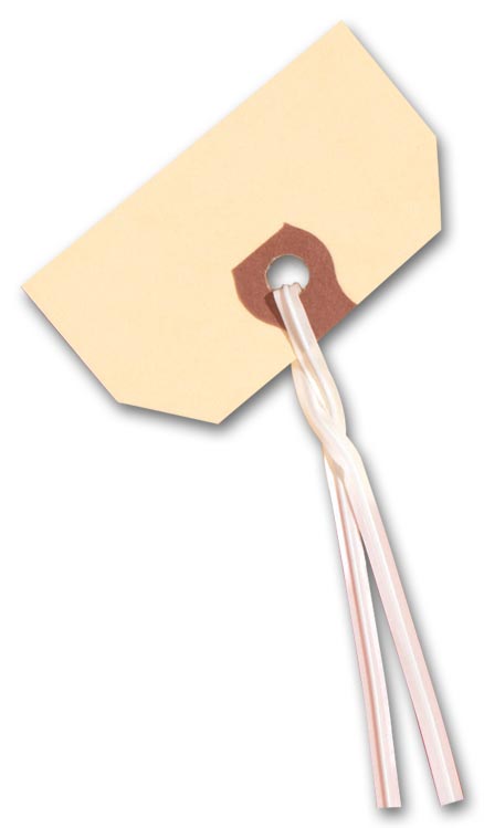 PT12 12 Inch Plastic Ties